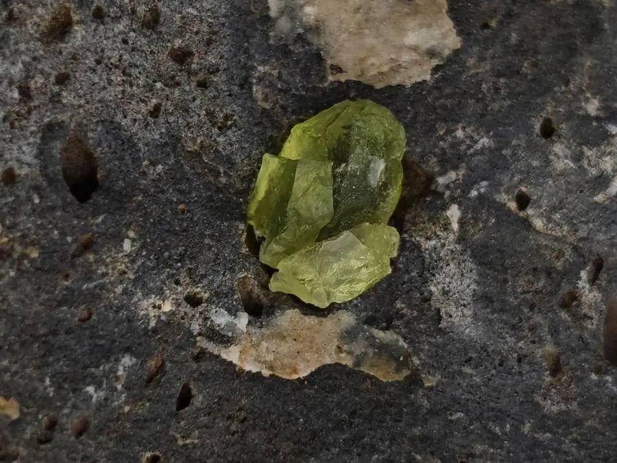 挖野菜还不够,现在踏春流行“挖矿”?