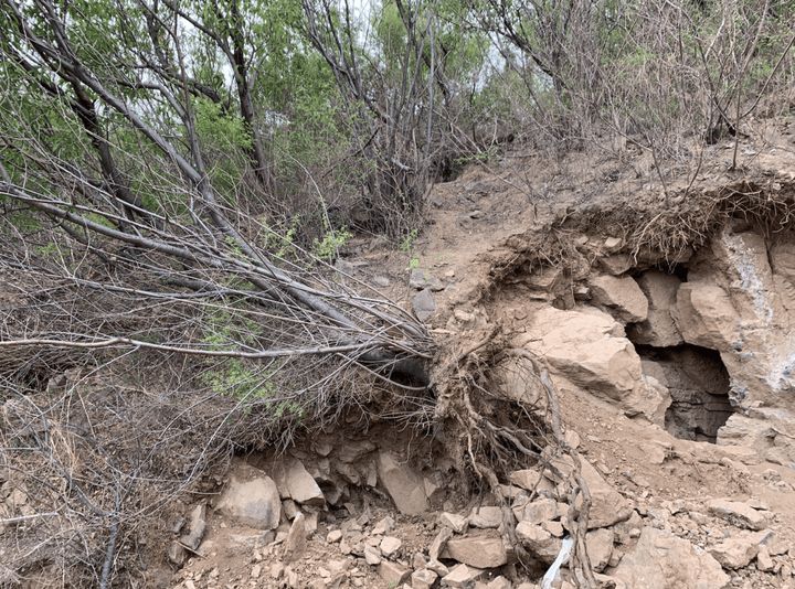 挖野菜还不够,现在踏春流行“挖矿”?