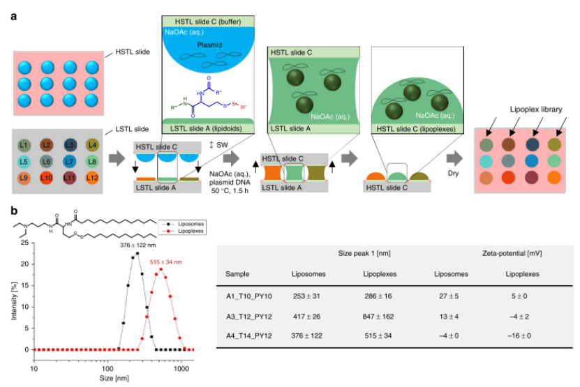 I.DOT技术助力chemBIOS 平台的创新征程