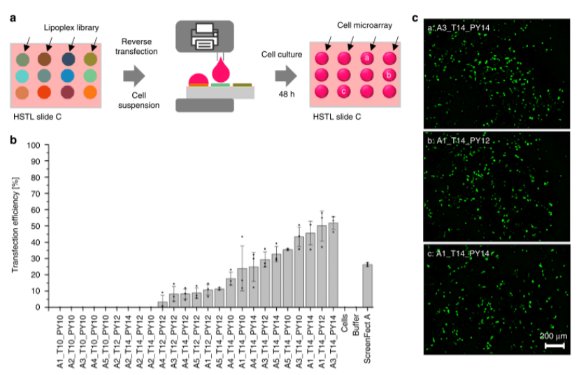 I.DOT技术助力chemBIOS 平台的创新征程