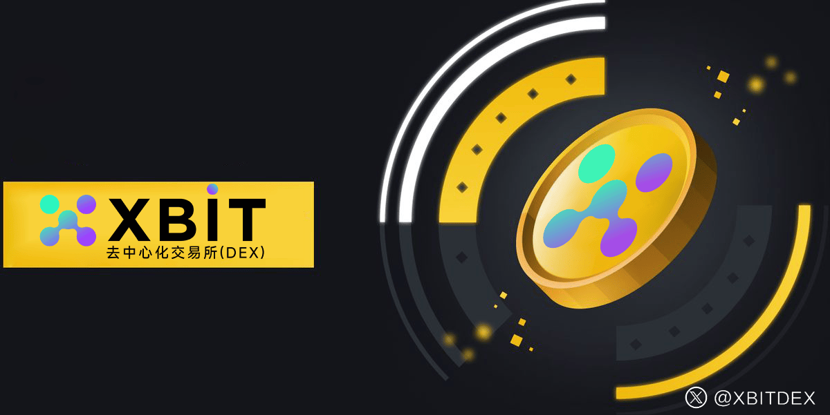 meme币官网流量暴涨10倍，XBIT交易数据揭示市场热潮来袭