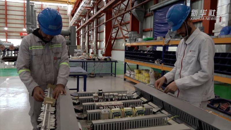 泰达合作区:合作共赢的绿洲在埃及生机盎然