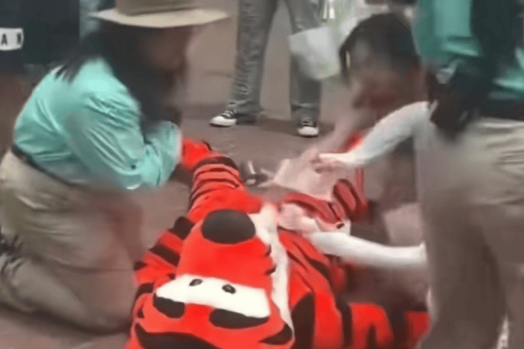 支持“跳跳虎”摘下头套，才符合童话本质