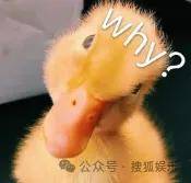 从爆红到突然消失好几年,再出现已经胖到大家不敢认了?