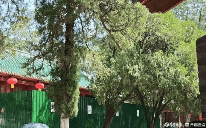 少林寺新变革:网传推行“佛门996”后数十和尚离职 收费项目消失