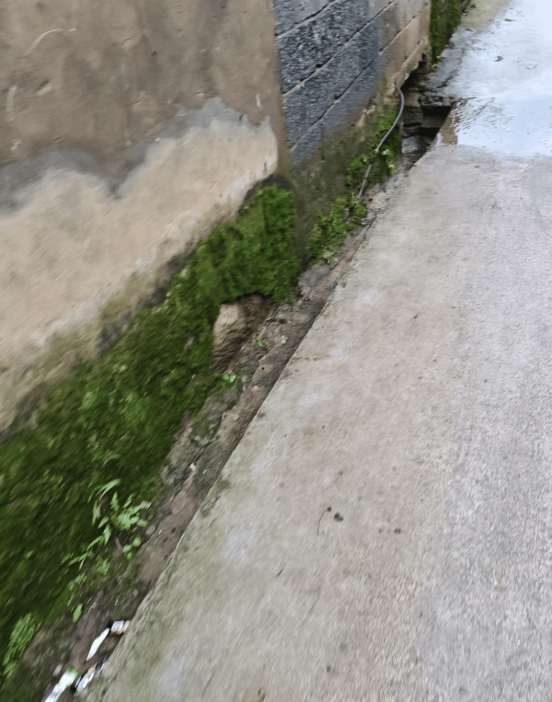 15岁女孩被同班14岁男生杀害，当地警方介入，家属发声