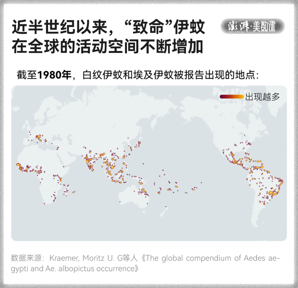 全球“最毒”的蚊子，为何批量北上