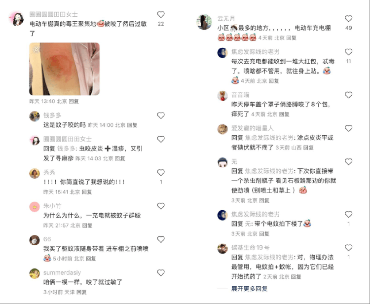 全球“最毒”的蚊子，为何批量北上