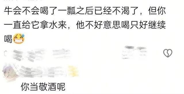 长沙00后小伙在新疆“找矿”,却因喂牛视频走红,当事人:每天见的牛羊比人还多