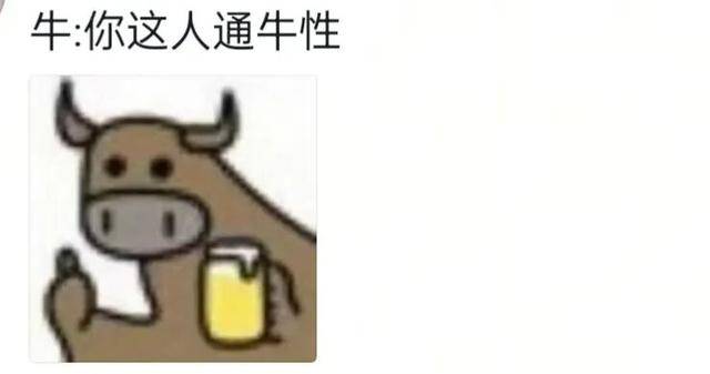 长沙00后小伙在新疆“找矿”,却因喂牛视频走红,当事人:每天见的牛羊比人还多