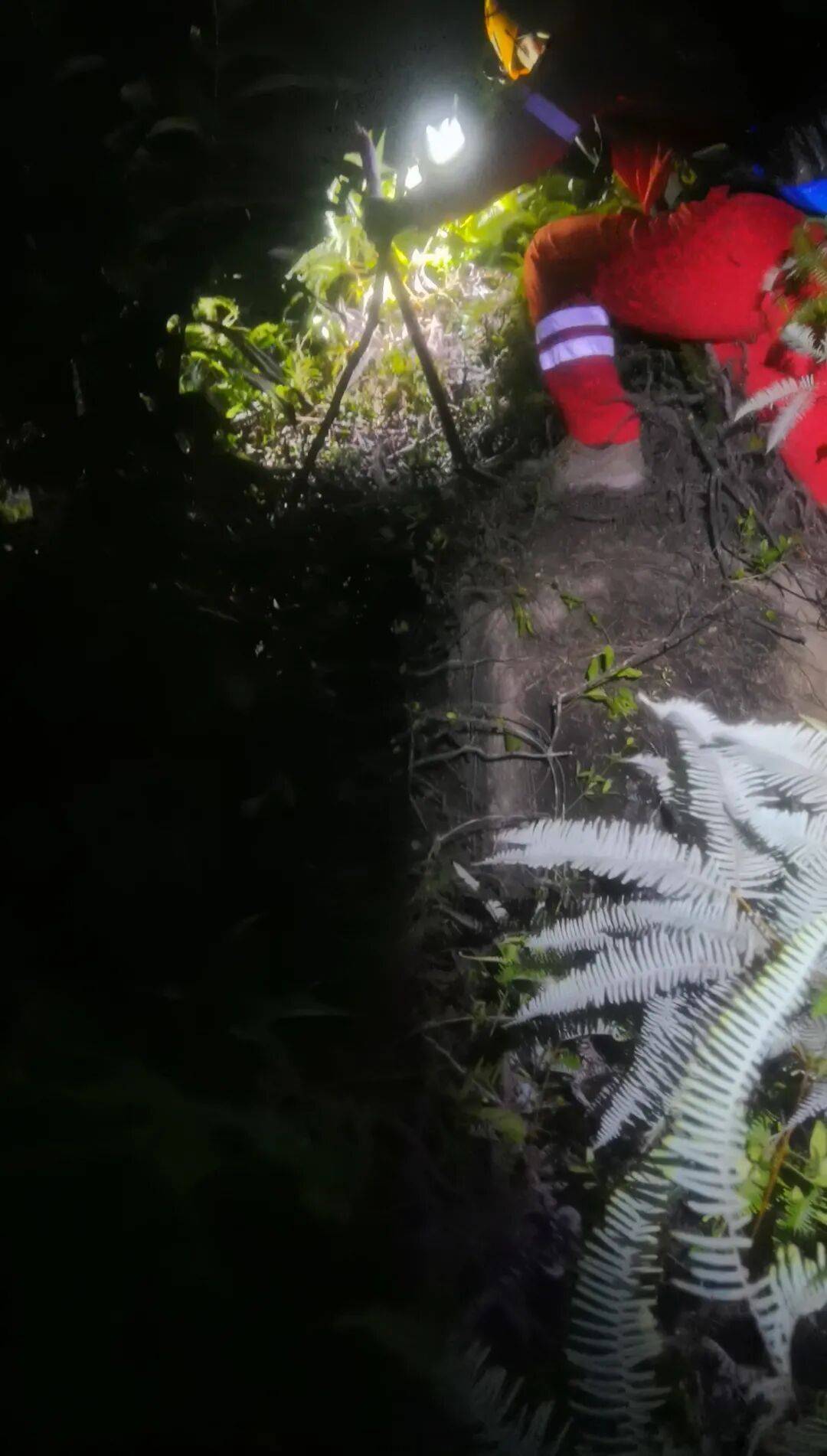 事发厦门!“95后”男子登山被困,绝望中交代银行卡密码……