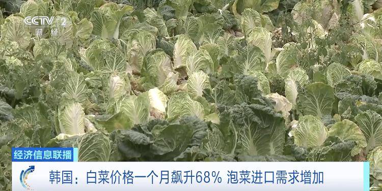高温致韩国蔬果价格暴涨，一个西瓜卖到173元人民币