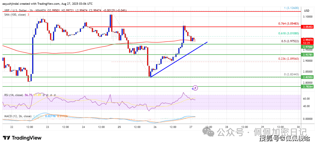 XRP 价格略有回升,买家能否突破障碍?