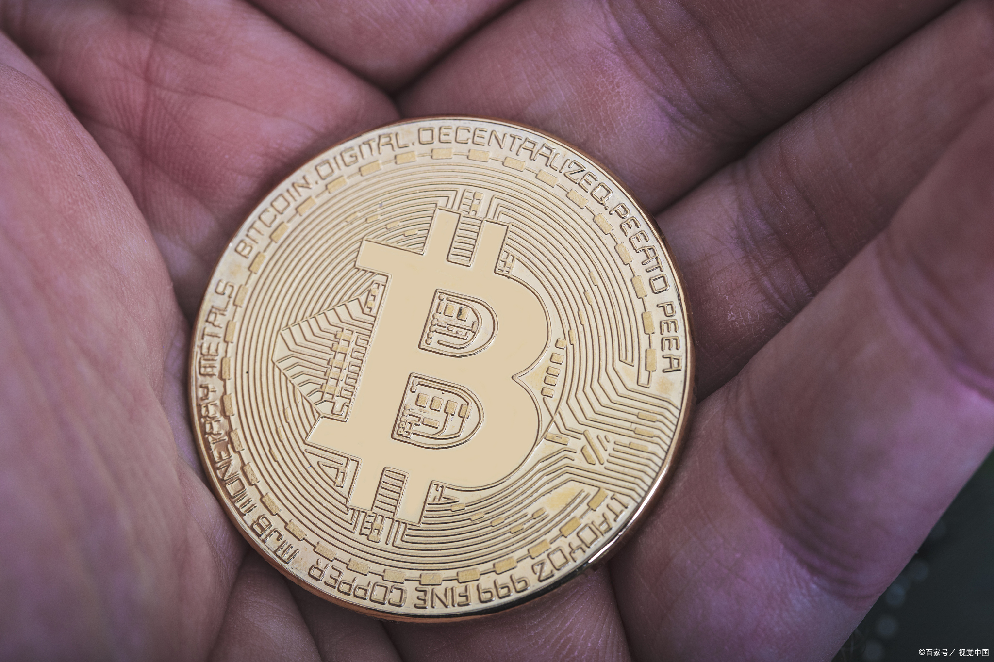 熵虚拟币(cell虚拟币)